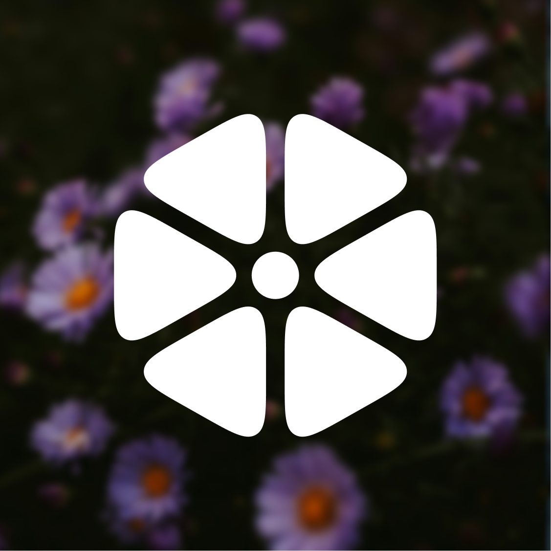 PFP